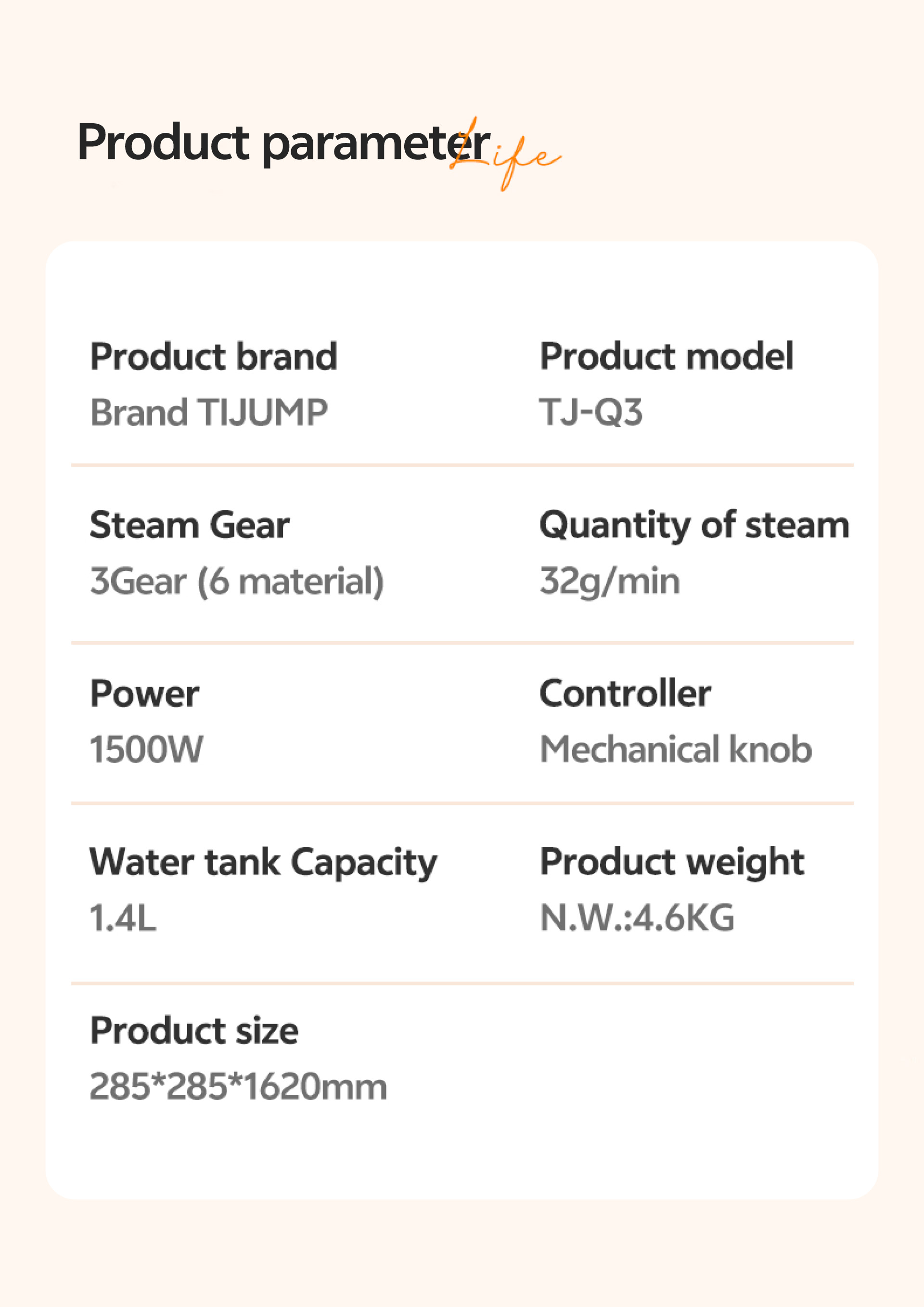TJ-Q3 garment steamer-19