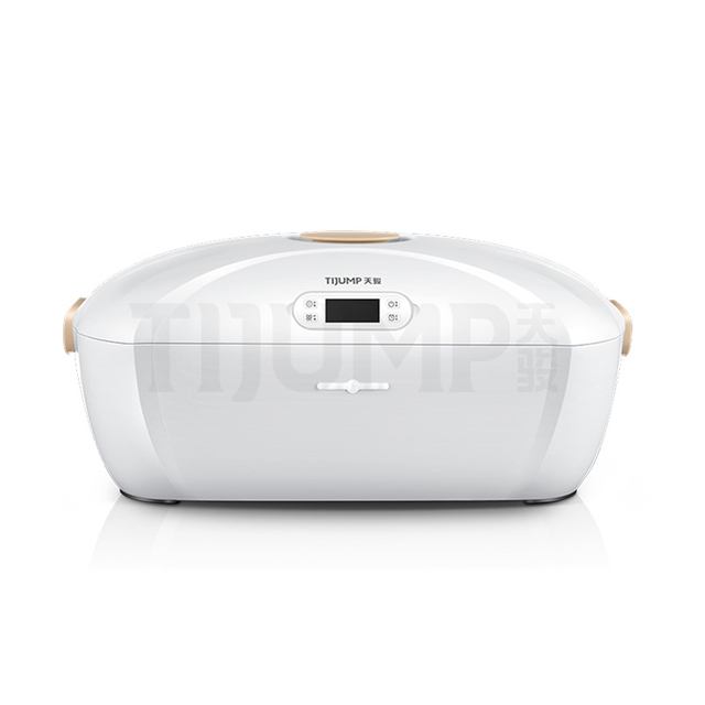 Automatic Wrinkle Removal Folding Portable Steam Iron Electric Clothes Dryer