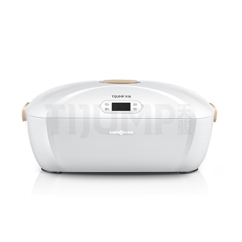 Automatic Wrinkle Removal Folding Portable Steam Iron Electric Clothes Dryer